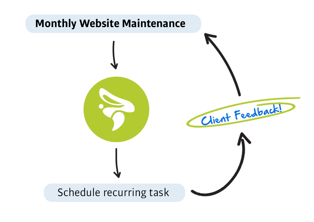 Website Management & Maintenance